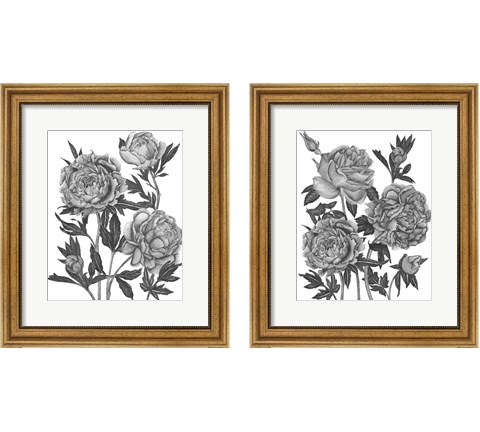 Flowers in Grey 2 Piece Framed Art Print Set by Melissa Wang
