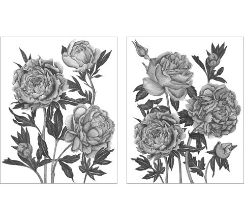 Flowers in Grey 2 Piece Art Print Set by Melissa Wang