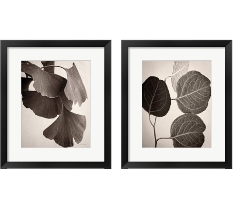 Eucalyptus Sepia 2 Piece Framed Art Print Set by Debra Van Swearingen