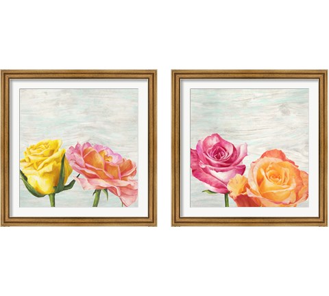 Funky Roses 2 Piece Framed Art Print Set by Jenny Thomlinson