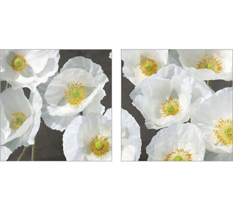 Poppies on Chalkboard 2 Piece Art Print Set by Leonardo Sanna