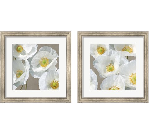 Poppies on Taupe 2 Piece Framed Art Print Set by Leonardo Sanna