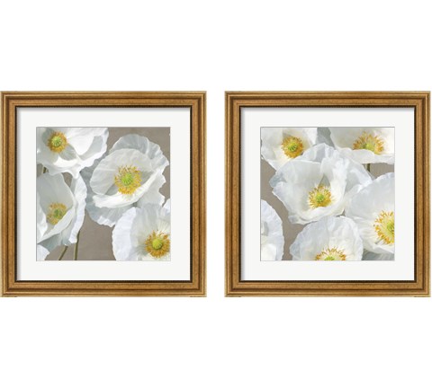 Poppies on Taupe 2 Piece Framed Art Print Set by Leonardo Sanna