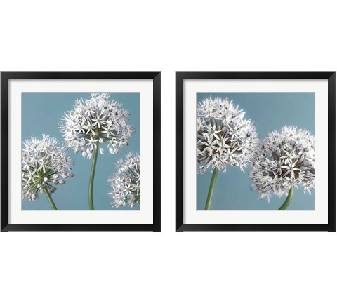 Bliss  2 Piece Framed Art Print Set by Assaf Frank