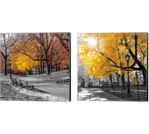 Park Pretty 2 Piece Canvas Print Set by Assaf Frank