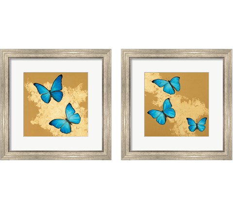 Cerulean Butterfly 2 Piece Framed Art Print Set by Joanna Charlotte