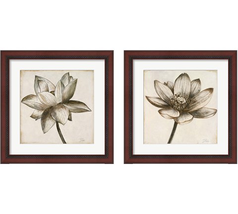 Sepia Lotus 2 Piece Framed Art Print Set by Patricia Pinto