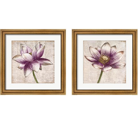 Defined Lotus 2 Piece Framed Art Print Set by Patricia Pinto