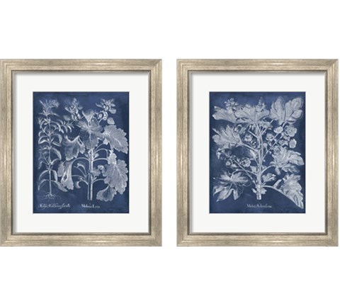 Besler Leaves in Indigo 2 Piece Framed Art Print Set by Vision Studio