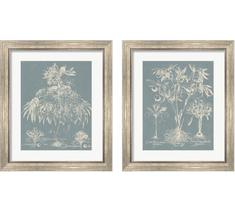 Delicate Besler Botanical  2 Piece Framed Art Print Set by Vision Studio