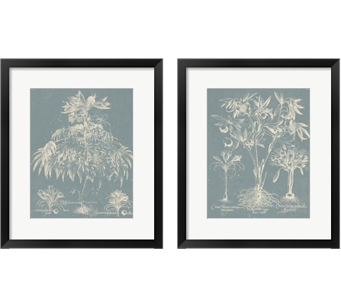 Delicate Besler Botanical  2 Piece Framed Art Print Set by Vision Studio