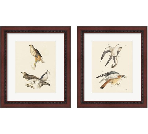 Birds of Prey 2 Piece Framed Art Print Set by Wild Apple Portfolio