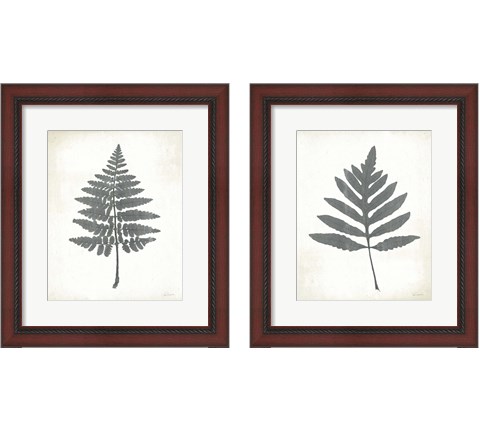 Chalkboard Fern  2 Piece Framed Art Print Set by Sue Schlabach