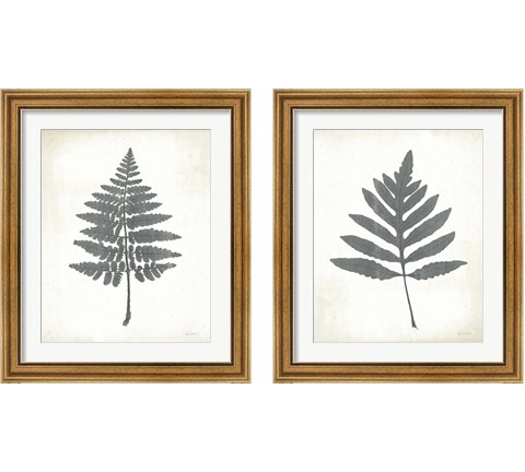 Chalkboard Fern  2 Piece Framed Art Print Set by Sue Schlabach