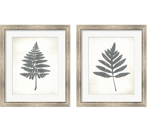 Chalkboard Fern  2 Piece Framed Art Print Set by Sue Schlabach