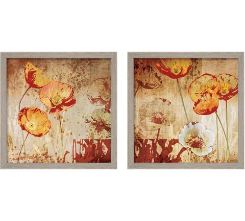 Poppy Heat 2 Piece Framed Art Print Set by Tandi Venter