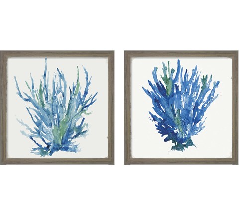 Blue and Green Coral  2 Piece Framed Art Print Set by Aimee Wilson