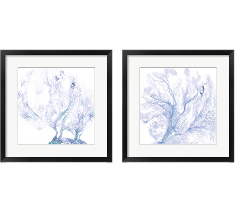 Navy Sea Fan 2 Piece Framed Art Print Set by Jennifer Parker