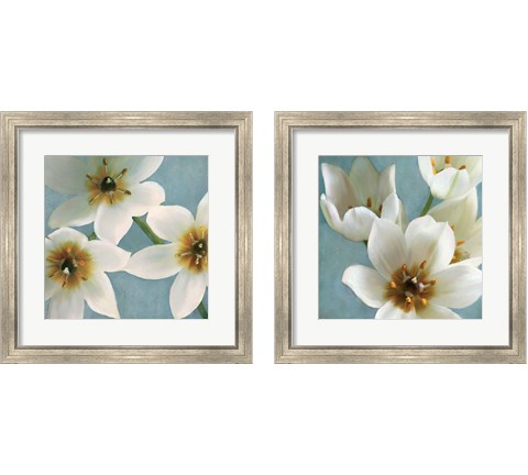 Lily Parfai 2 Piece Framed Art Print Set by Janel Pahl