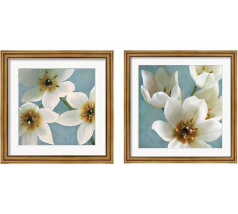 Lily Parfai 2 Piece Framed Art Print Set by Janel Pahl