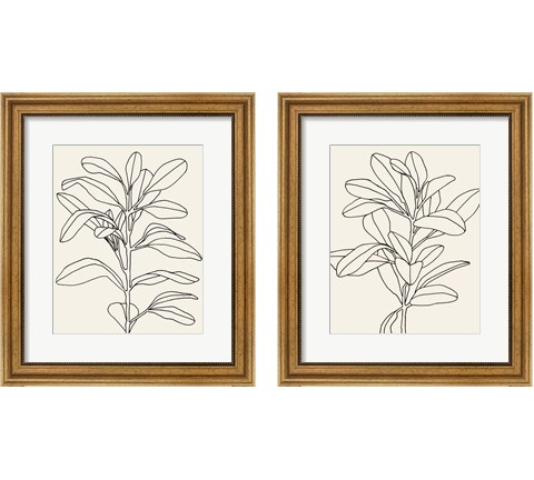 Olive Branch Contour 2 Piece Framed Art Print Set by Emma Scarvey