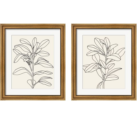 Olive Branch Contour 2 Piece Framed Art Print Set by Emma Scarvey