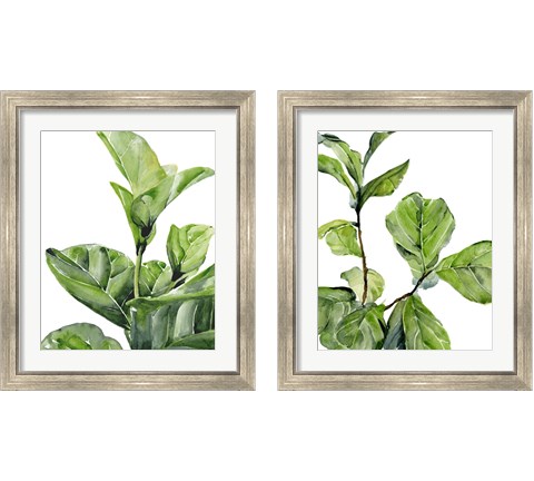 Fiddle Fig 2 Piece Framed Art Print Set by Jennifer Parker