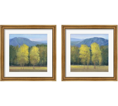 Shaft of Light 2 Piece Framed Art Print Set by Timothy O'Toole