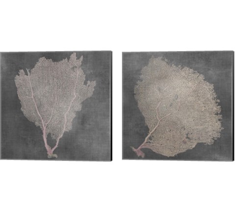 Natural Sea Fan 2 Piece Canvas Print Set by Vision Studio