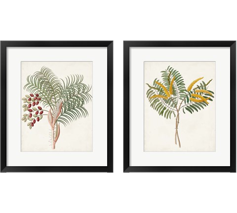 Botanical of the Tropics 2 Piece Framed Art Print Set