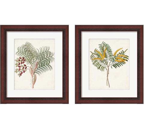 Botanical of the Tropics 2 Piece Framed Art Print Set