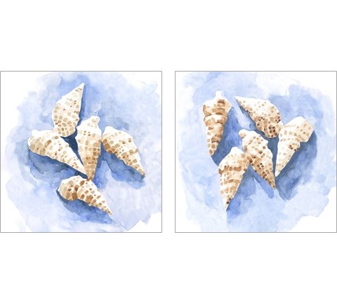 Shell Impressions 2 Piece Art Print Set by Emma Caroline