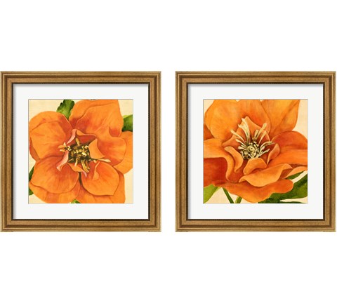 Copper Petals 2 Piece Framed Art Print Set by Annie Warren