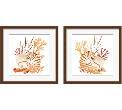 Nautilus Grouping 2 Piece Framed Art Print Set by Annie Warren