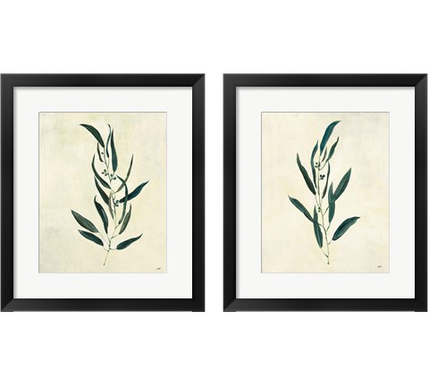 Botanical Study 2 Piece Framed Art Print Set by Julia Purinton