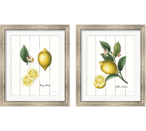 Cottage Lemon 2 Piece Framed Art Print Set by Sue Schlabach