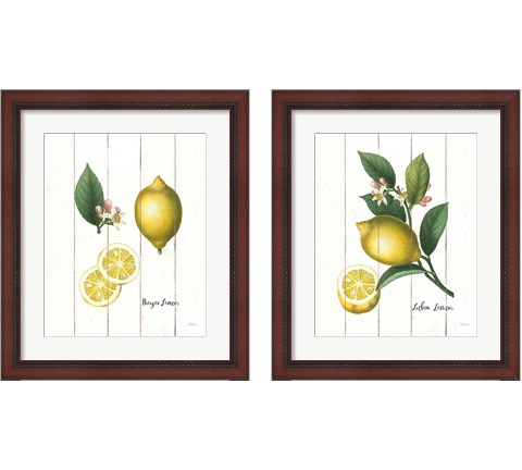 Cottage Lemon 2 Piece Framed Art Print Set by Sue Schlabach