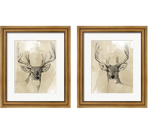 Burnished Buck 2 Piece Framed Art Print Set by Grace Popp