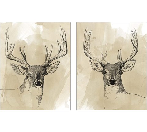 Burnished Buck 2 Piece Art Print Set by Grace Popp