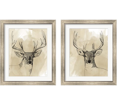 Burnished Buck 2 Piece Framed Art Print Set by Grace Popp