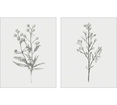 Wild Stem 2 Piece Art Print Set by Annie Warren