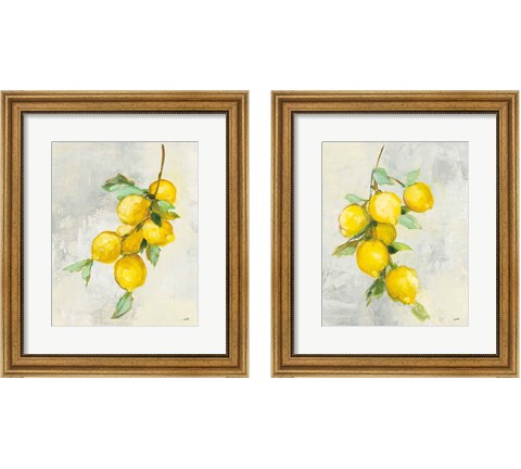 Zest 2 Piece Framed Art Print Set by Julia Purinton