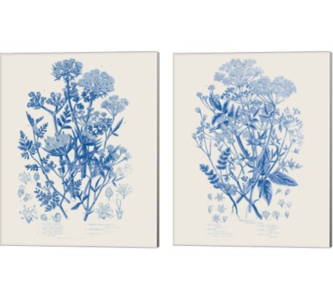 Flowering Plants 2 Piece Canvas Print Set by Wild Apple Portfolio