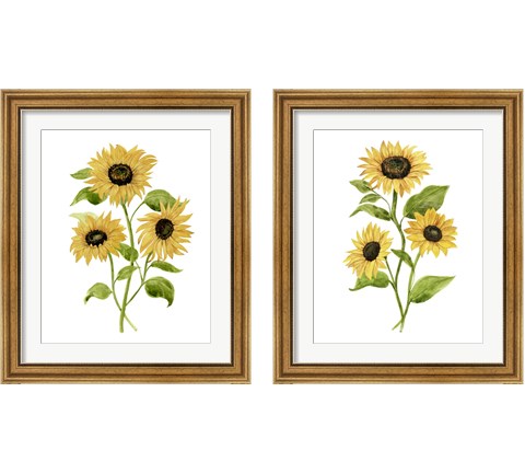 Sunflower Trio 2 Piece Framed Art Print Set by Annie Warren