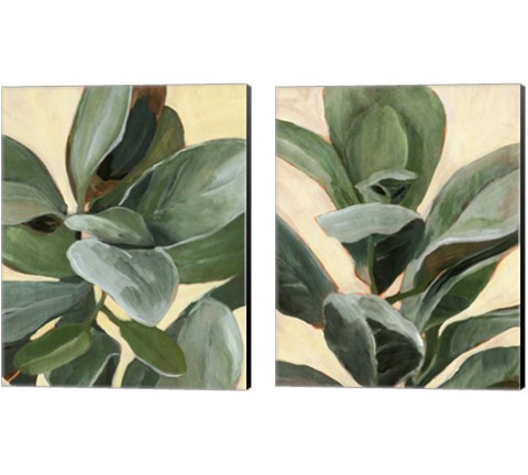 Plant Study 2 Piece Canvas Print Set by Annie Warren