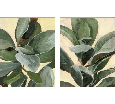 Plant Study 2 Piece Art Print Set by Annie Warren