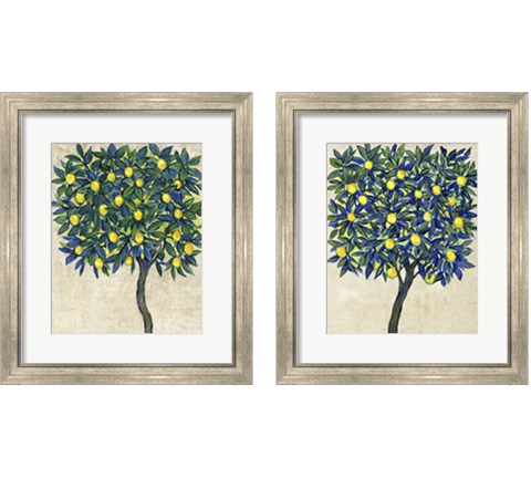 Lemon Tree Composition 2 Piece Framed Art Print Set by Timothy O'Toole