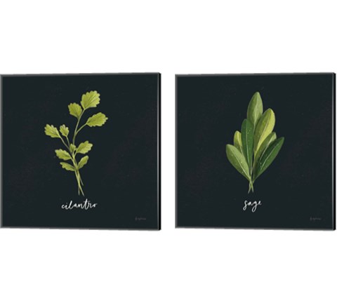 Herbs 2 Piece Canvas Print Set by Becky Thorns