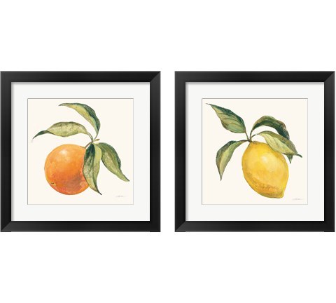 Le Citron & Orange on Cream 2 Piece Framed Art Print Set by Silvia Vassileva