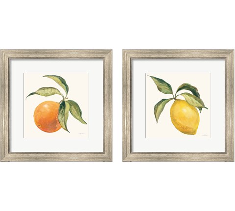 Le Citron & Orange on Cream 2 Piece Framed Art Print Set by Silvia Vassileva